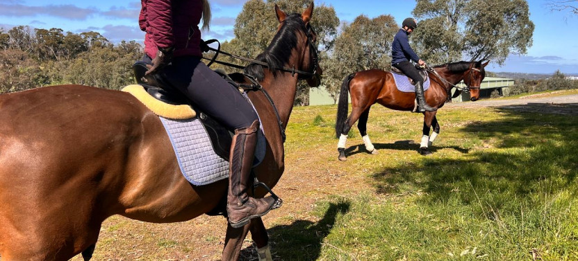 Horse Trail Ride & Tasting Experience