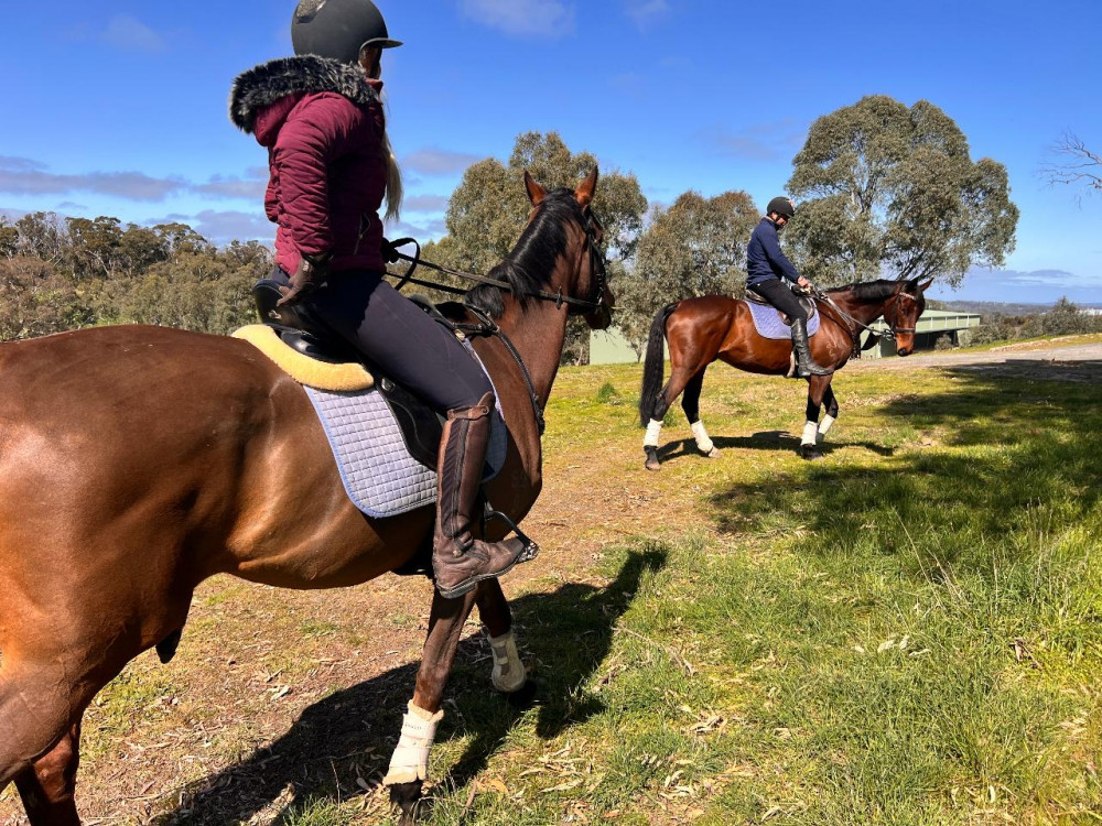 Horse Trail Ride & Tasting Experience