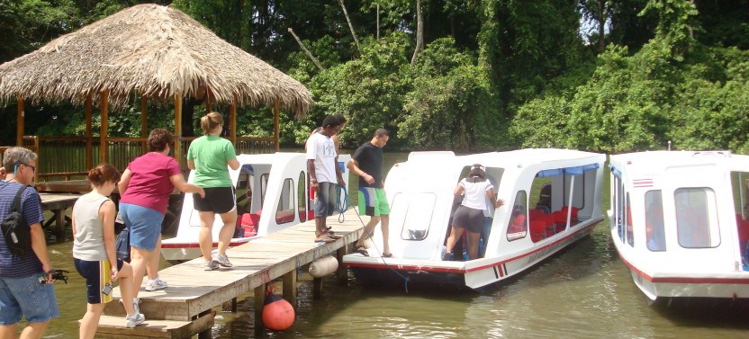 Shore Excursion: 6 in 1: Limon Highlights