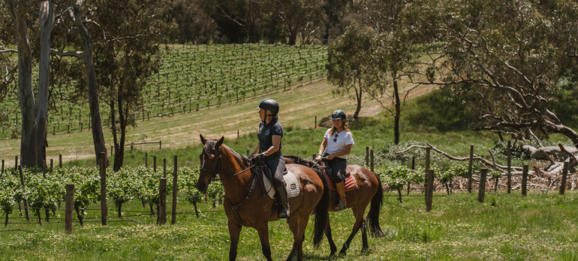 Romantic Private Horse Trail Ride Package