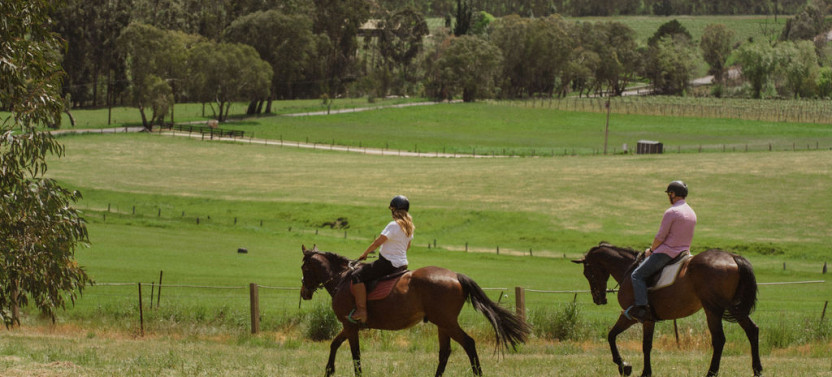 VIP Private Horse Trail Ride & Lunch with Olympian Megan Jones