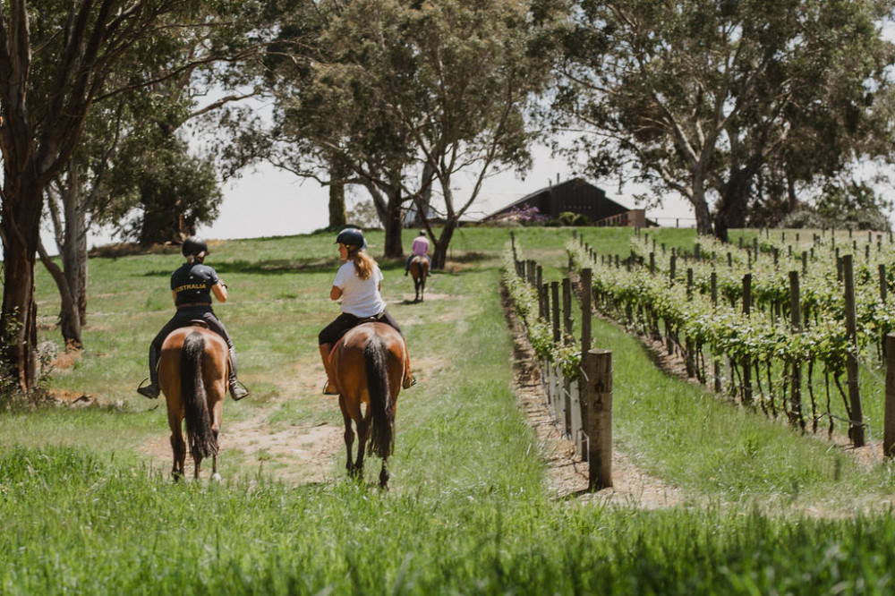 VIP Private Horse Trail Ride & Lunch with Olympian Megan Jones