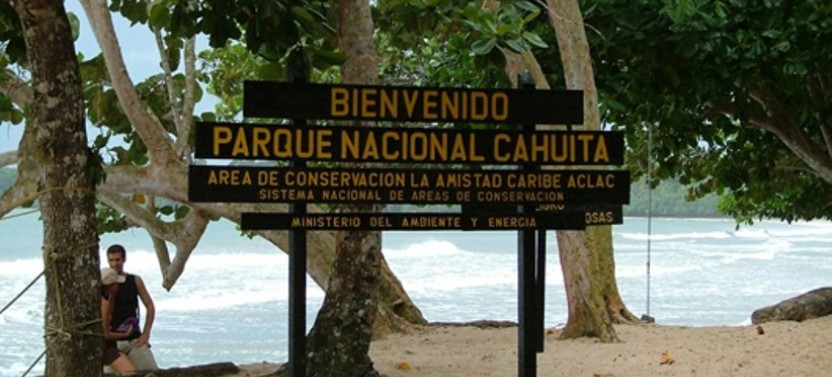 Shore Excursion: Cahuita National Park & Prospect Plantation