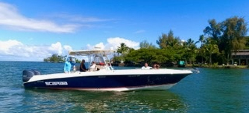 1 Tank Boat Dive - Sea Turtles & Tropical Reef