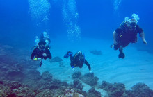 Hilo Ocean Adventures LLC4