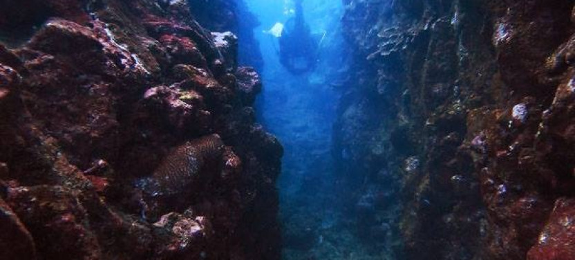 2 Tank Boat Dive - Hilo's Remote Tropical Reef
