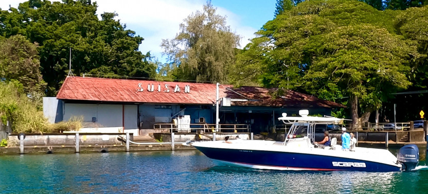 2 Tank Boat Dive - Hilo's Remote Tropical Reef