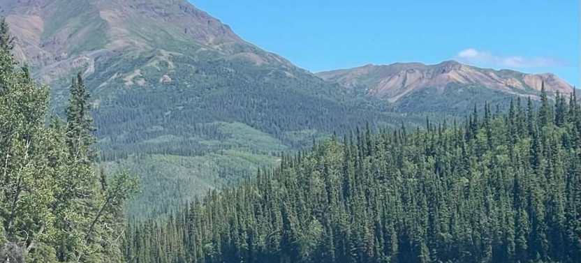 Wilderness Wave Raft: Whitewater Rafting along Denali’s Border