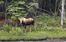 New Wave Adventures8