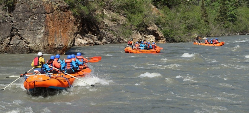 New Wave Combo Raft: Whitewater Rafting through Denali's Iconic River