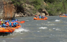 New Wave Adventures3