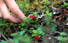 New Wave Adventures2