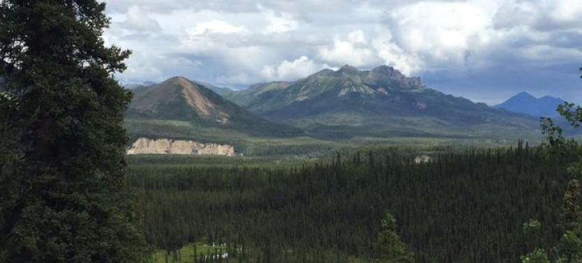 Scenic Morning Hike through Denali