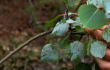 New Wave Adventures7