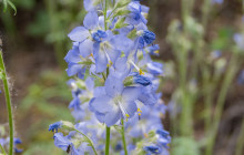 New Wave Adventures8