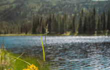 New Wave Adventures10