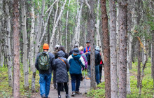 New Wave Adventures11