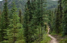 New Wave Adventures12