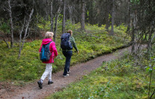 New Wave Adventures2