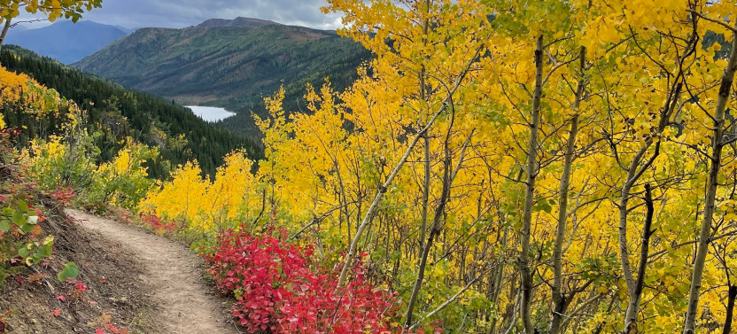 Scenic Afternoon Hike through Denali