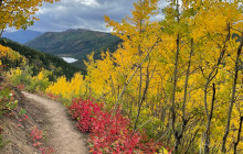 New Wave Adventures3