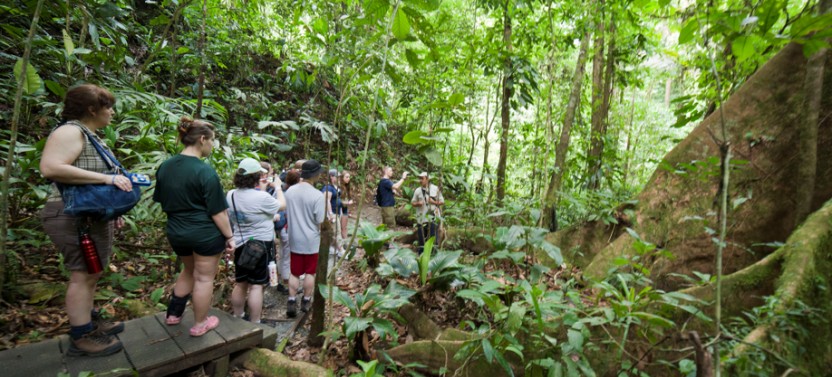 Shore Excursion: Rainforest Skywalk & Tarcoles River Cruise