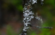 New Wave Adventures4