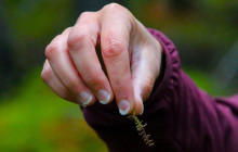 New Wave Adventures5