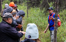 New Wave Adventures6