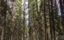 New Wave Adventures7