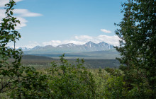 New Wave Adventures8