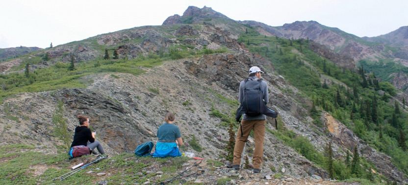 Private Scenic Customized Hiking Adventure through Denali