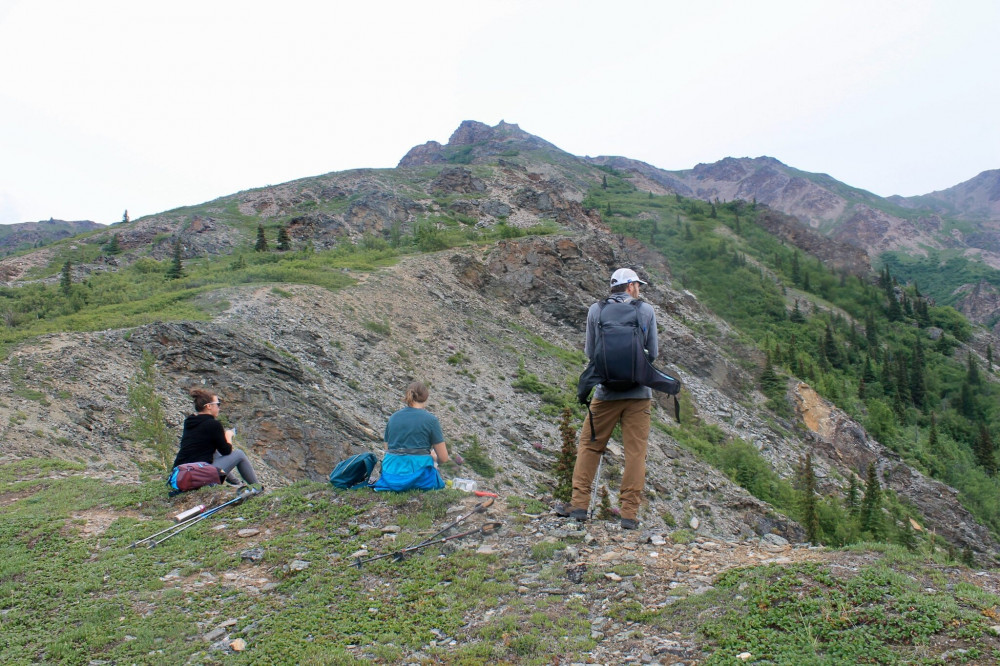 Private Scenic Customized Hiking Adventure through Denali