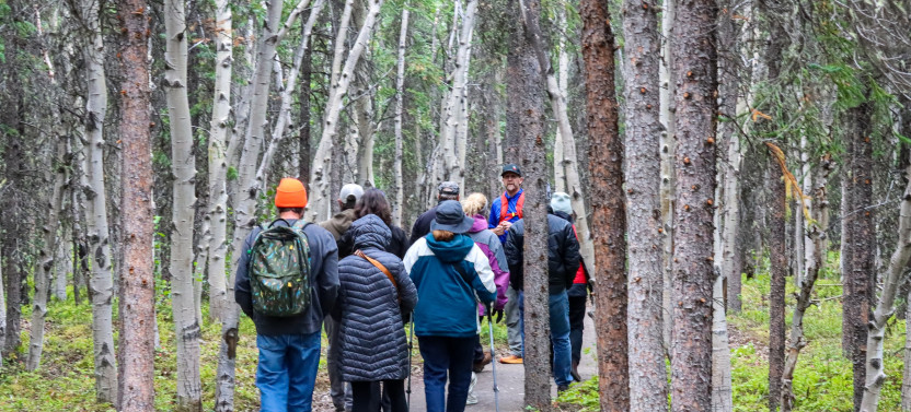 Private Scenic Customized Hiking Adventure through Denali