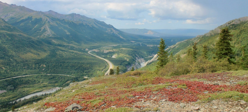 Private Scenic Customized Hiking Adventure through Denali