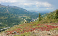 New Wave Adventures3