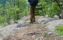 New Wave Adventures5