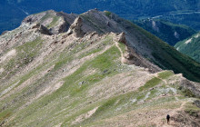 New Wave Adventures7