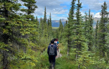 New Wave Adventures8