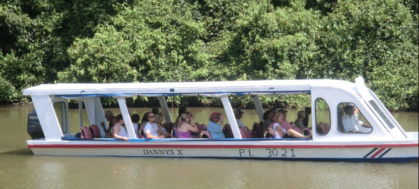 Shore Excursion: Tortuguero Canal Eco Cruise & Prospect Plantation
