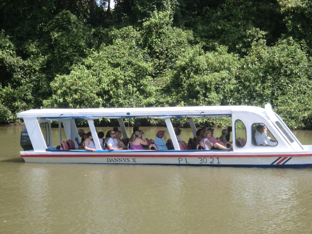 Shore Excursion: Tortuguero Canal Eco Cruise & Banana Plantation