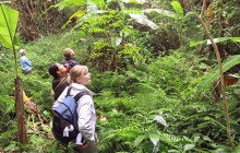 Mr Linh's Adventures4