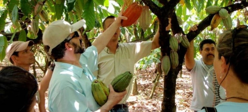 Private Tour: Chocolate Tour in the Rainforest & Hanging Bridge