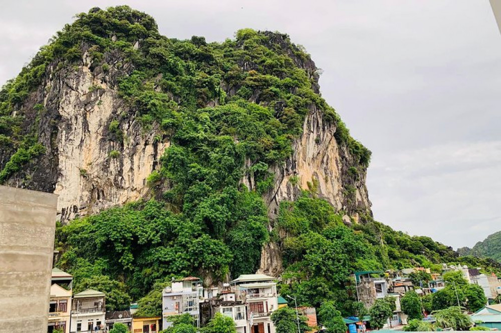 Shore Excursion: Ha Long City Of Culture & Landscape From Ha Long Port