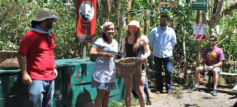 Private Tour: Classic Britt Coffee Tour
