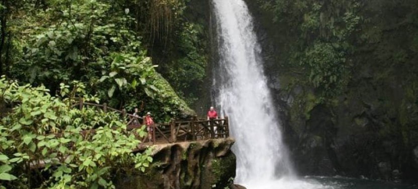 Private Tour: Doka Estate Coffee Tour & La Paz Waterfalls Gardens