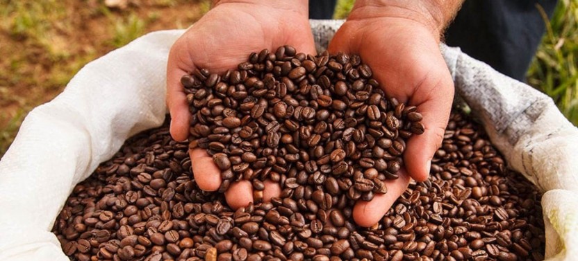Private Tour: Doka Estate Coffee Tour, Grecia and Sarchí Oxcarts