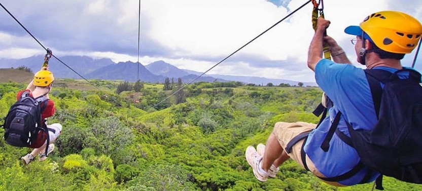Private Tour: Zipline Canopy & Horseback Riding
