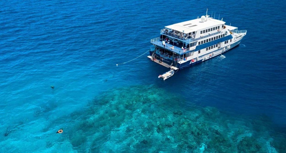 5 Days 5* PADI Rescue Diver Courses