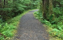 Tongass Rainforest Hiking Expedition4